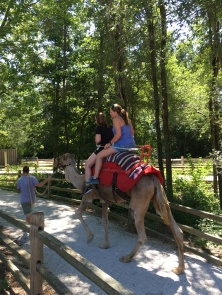 Riding Camel ~ PC: Nikki Horne
